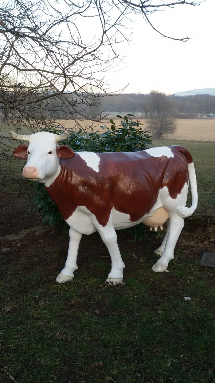 vache en résine et fibres de verre race red ' Holstein grandeur nature 
220c160x70 cm 
et 45kg
coloris au choix 
 